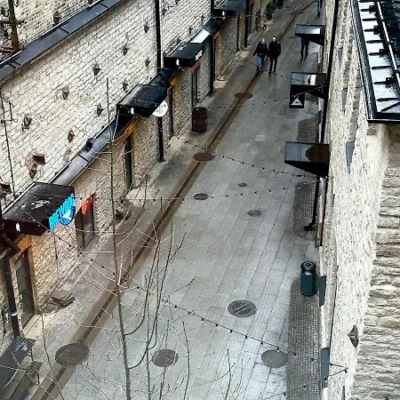 Modern Loft In Center *