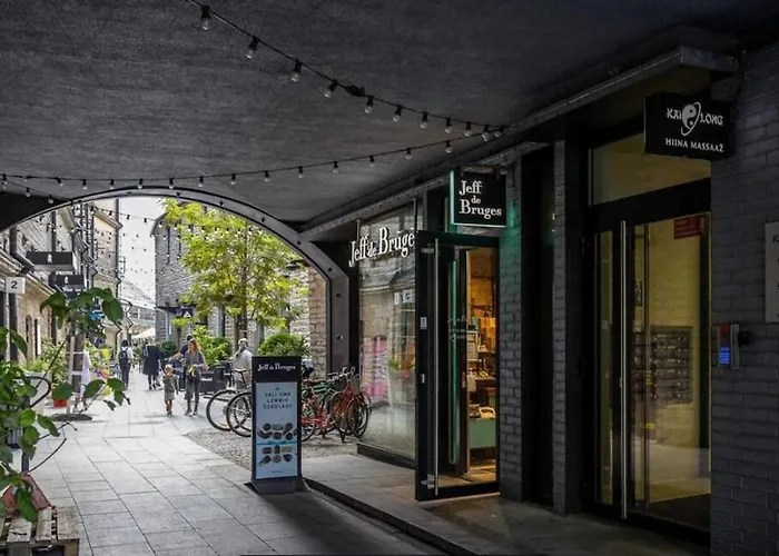 公寓 Modern Loft In Center 塔林